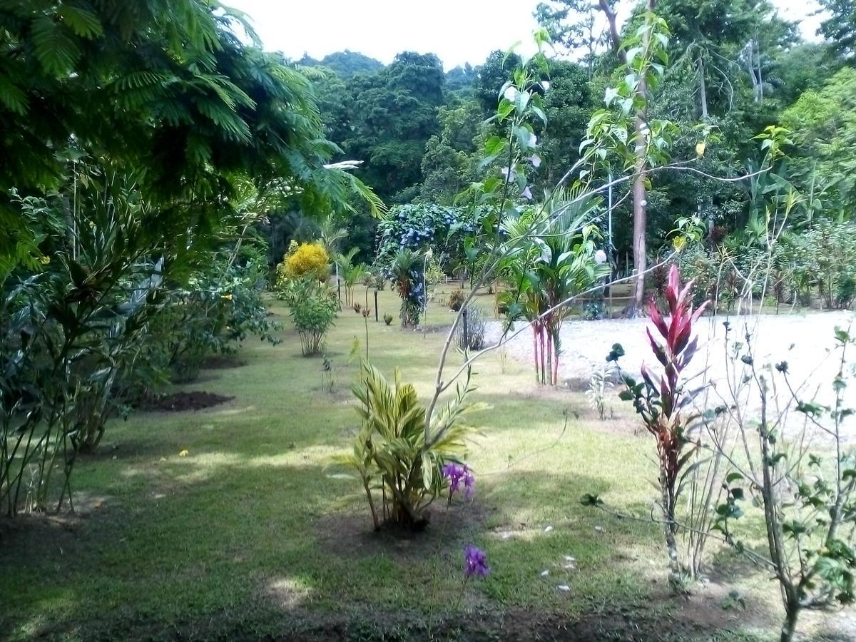 Puerto Vargas Lodge Cahuita Esterno foto
