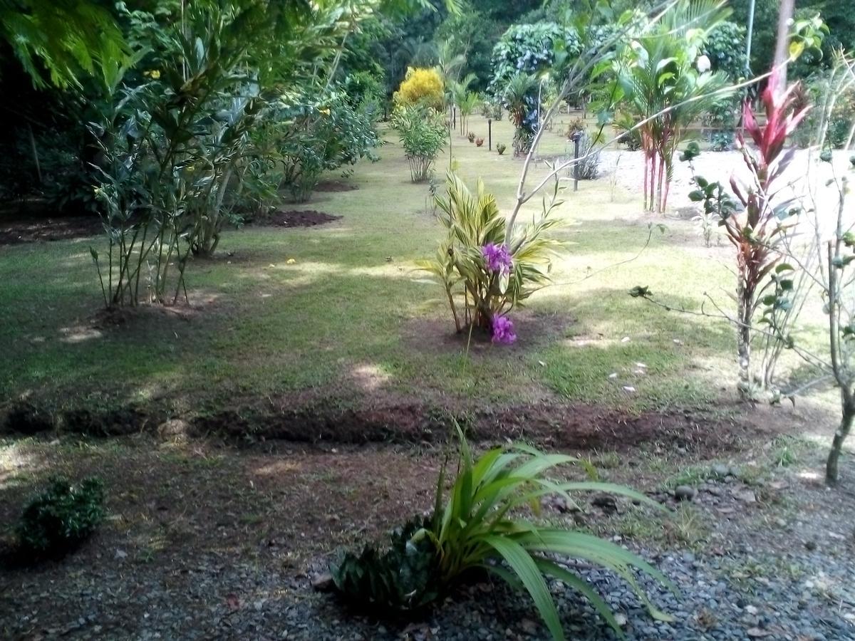Puerto Vargas Lodge Cahuita Esterno foto